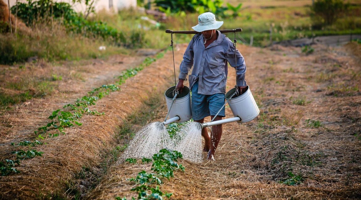 trabalhador rural características